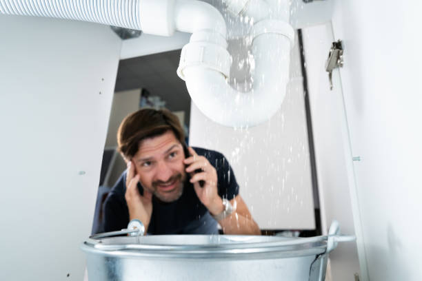 Best Sewer Line Replacement  in Cottage Grove, MN