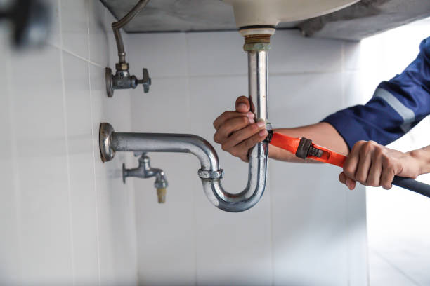 Best Plumbing Inspection Services  in Cottage Grove, MN